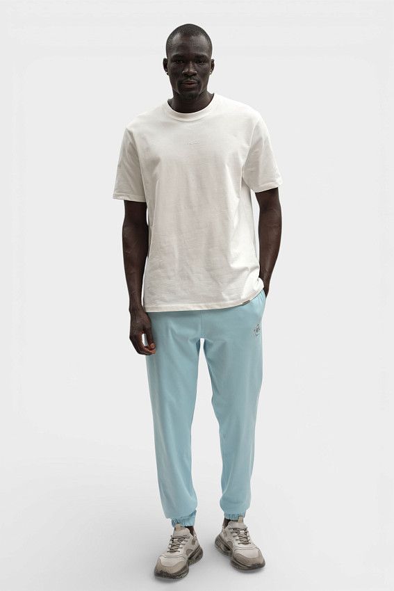 Брюки спортивные Van Mich Синий