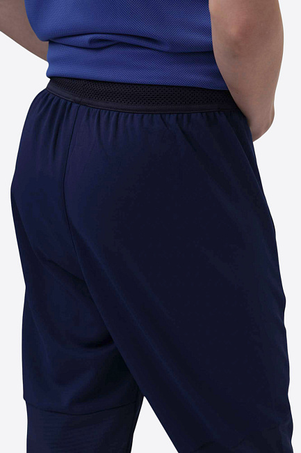 Брюки тренировочные Van Mich Спорт