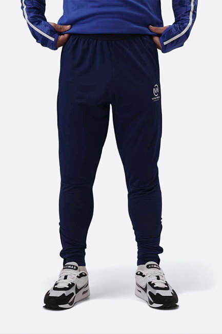 Брюки тренировочные Van Mich Спорт