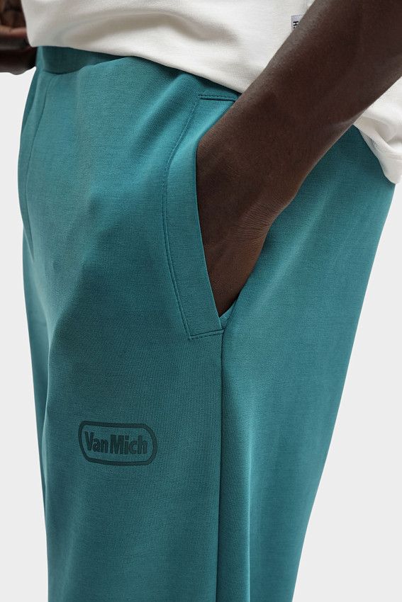Брюки спортивные Van Mich 