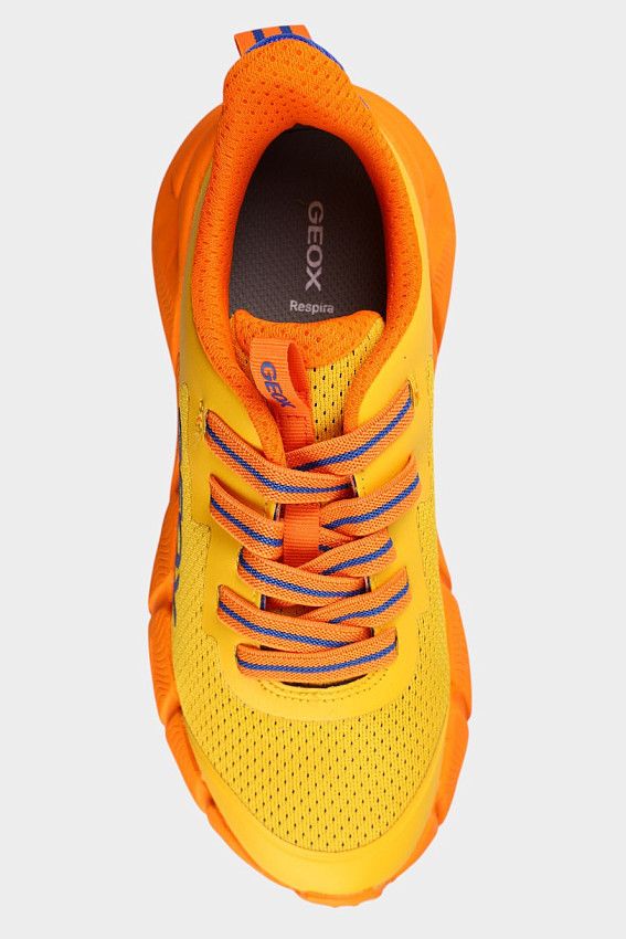 Кроссовки Geox Желтый
