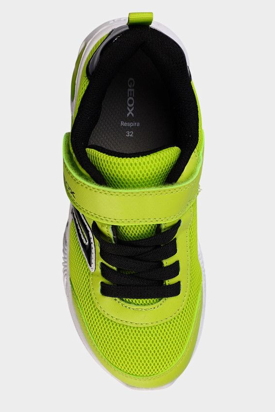 Кроссовки Geox Зеленый