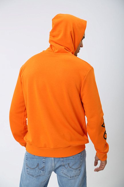 Толстовка LTB