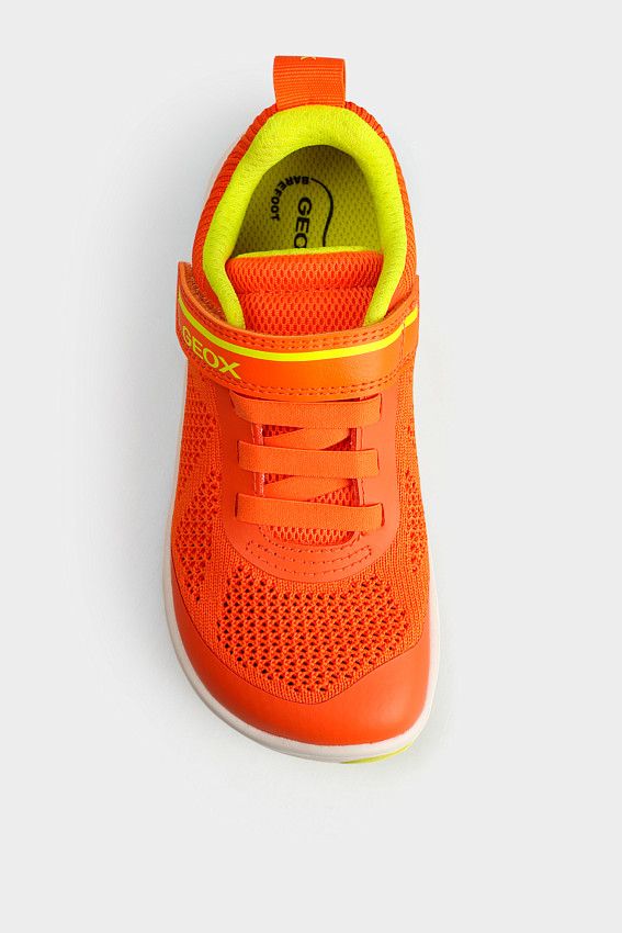 Кроссовки Geox Оранжевый