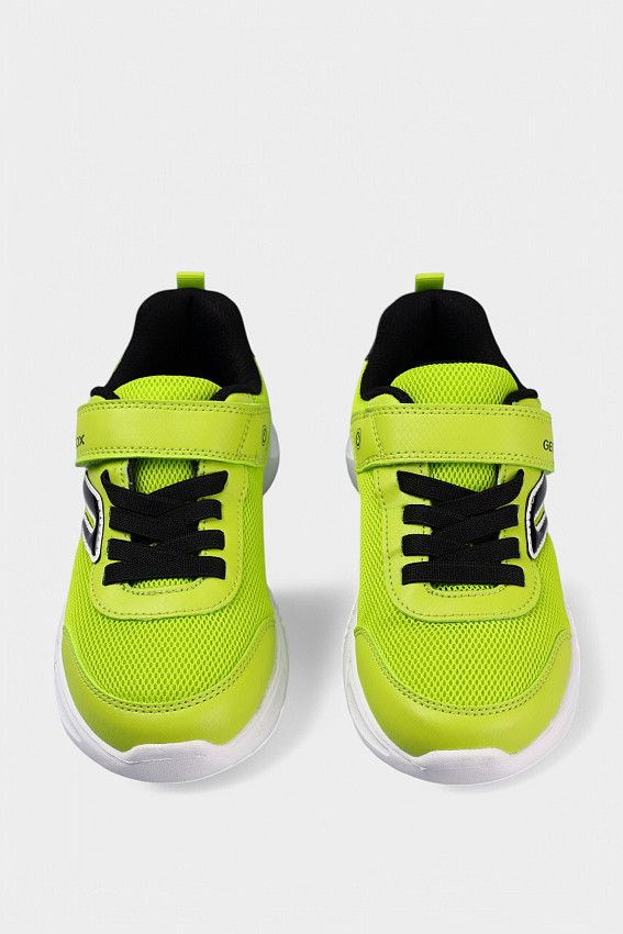 Кроссовки Geox Зеленый