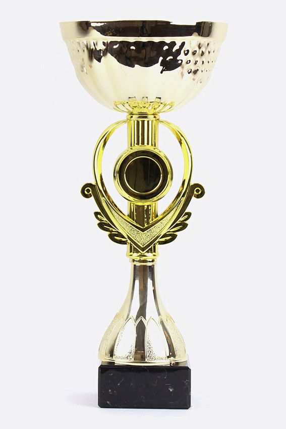 Кубок 25.5 см.