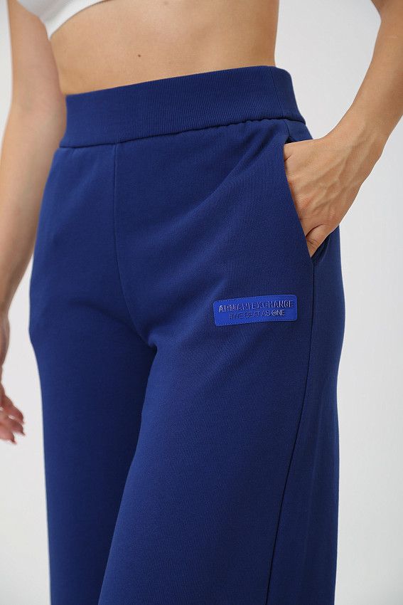 Брюки спортивные Armani Exchange Синий
