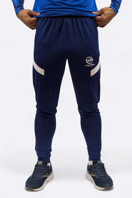 Брюки тренировочные Van Mich Спорт