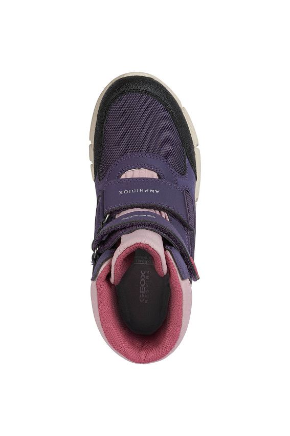 Сапоги Geox Фиолетовый