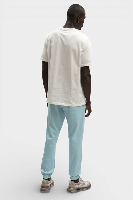 Брюки спортивные Van Mich