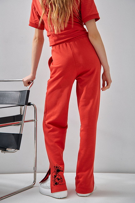 Брюки спортивные The Hills