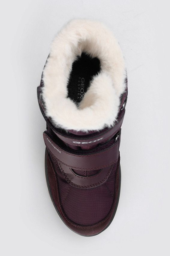 Сапоги Geox Бордовый