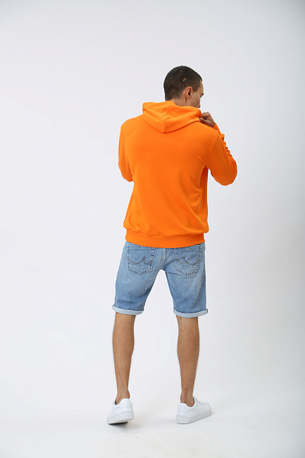 Толстовка LTB