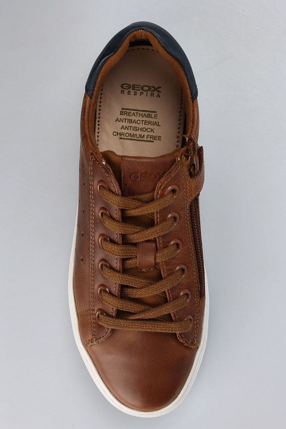 Кеды Geox Коричневый