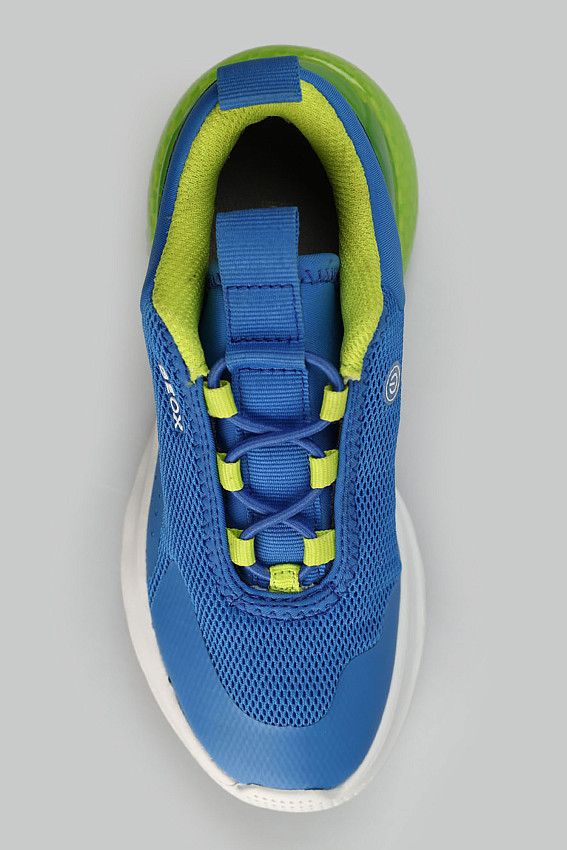 Кроссовки Geox Голубой