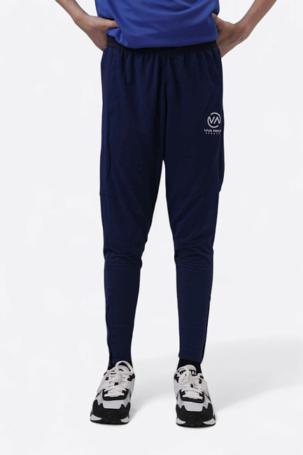 Брюки тренировочные Van Mich Спорт